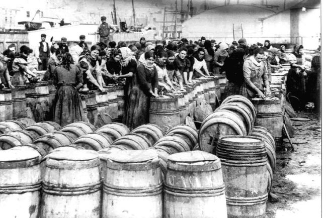 Packing the herring at Wick Harbour c1890s. Old Pics Archive.